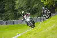 brands-hatch-photographs;brands-no-limits-trackday;cadwell-trackday-photographs;enduro-digital-images;event-digital-images;eventdigitalimages;no-limits-trackdays;peter-wileman-photography;racing-digital-images;trackday-digital-images;trackday-photos